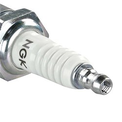 NGK SPARK PLUG - STANDARD  CTN10