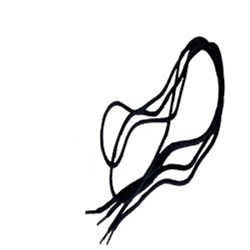 BAGSTER LACE (AC07040327) # [ONC01]