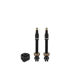 TOPEAK TURBOFLOW VALVE KIT 45mm