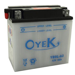 OYEK YB12AL-A2 HEAVY DUTY QTY PR. MULTI 10 (UN2796)  [ONC01] #
